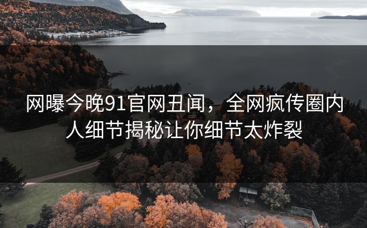 网曝今晚91官网丑闻，全网疯传圈内人细节揭秘让你细节太炸裂  第1张