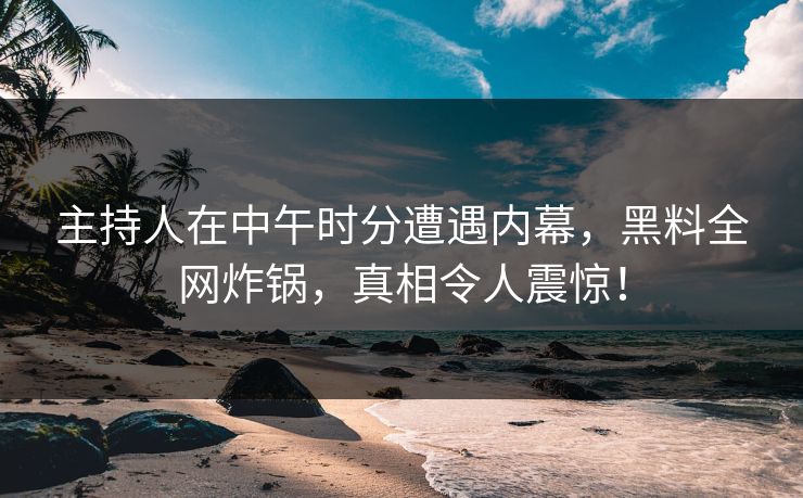 主持人在中午时分遭遇内幕，黑料全网炸锅，真相令人震惊！  第1张