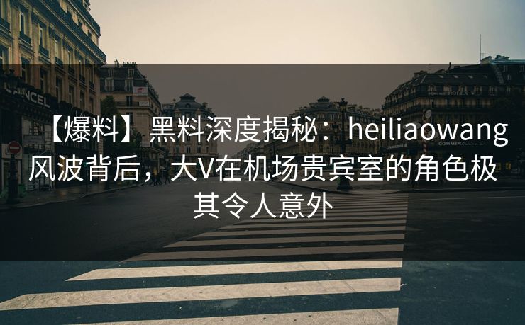 【爆料】黑料深度揭秘：heiliaowang风波背后，大V在机场贵宾室的角色极其令人意外  第1张