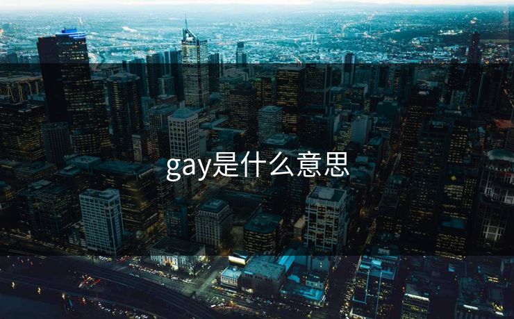 gay是什么意思